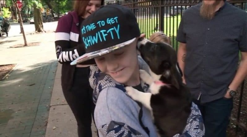 Здоровье: Мальчику, через окно наблюдавшему за собаками во время сеансов химиотерапии, подарили щенка