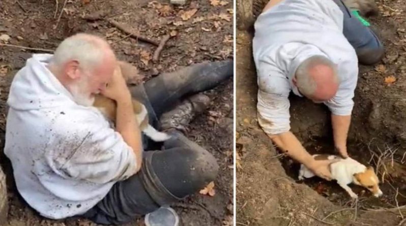 Досуг: Мужчина вне себя от радости, найдя свою собаку живой после 3 дней, проведенных в лисьей норе (видео)