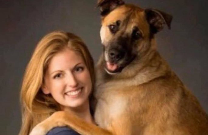 Локальные новости: Дрессировщица собак усыпила совершенно здорового пса, потому что считала его «злым». В соцсетях ее назвали убийцей