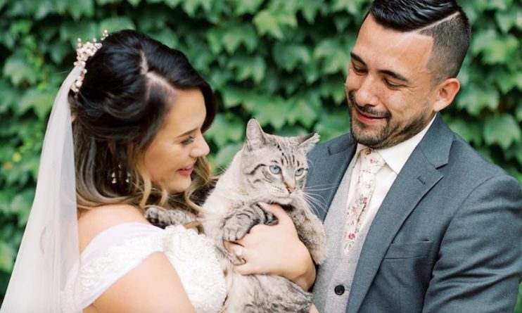 Полезное: Жених сделал сюрприз невесте в день свадьбы, принеся на церемонию ее любимого двулапого кота