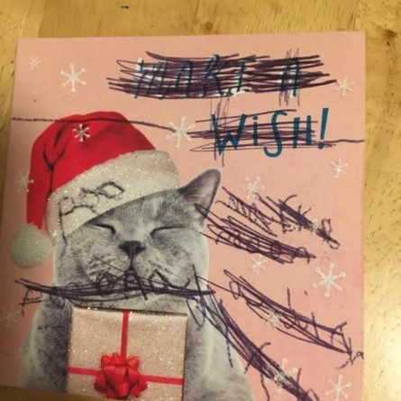 Локальные новости: Мать была в ужасе от корректировок, которые ее маленький сын внес в рождественские открытки