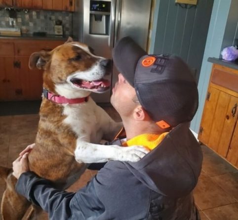Локальные новости: Собака провела в приюте ​​500 дней, но Рождество встретит уже с новой семьей