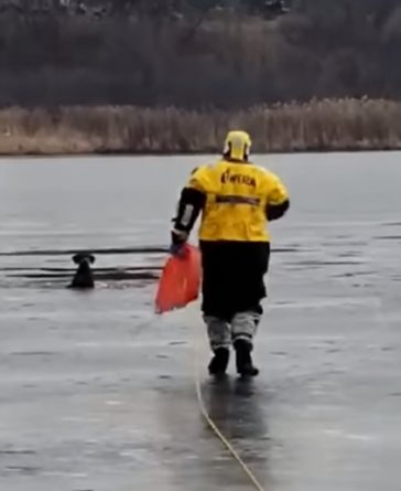 Локальные новости: Пожарные и полицейские спасли в Висконсине двух собак, провалившихся под лед. Одну — в канун Рождества