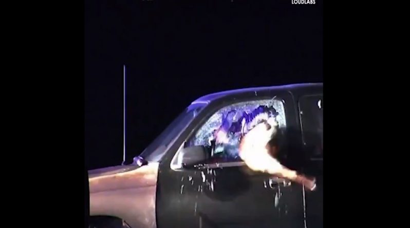 Закон и право: Служебная овчарка пролетела через разбитое окно машины, задержав подозреваемого (видео)
