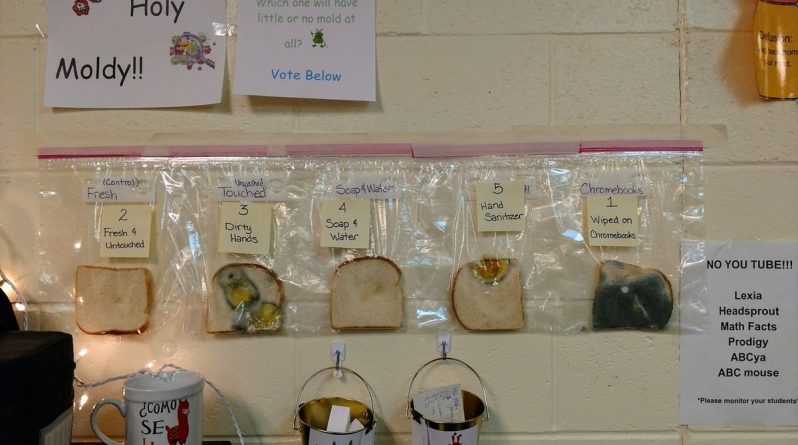 Полезное: Эксперимент с хлебом показал школьникам состояние их ноутбуков