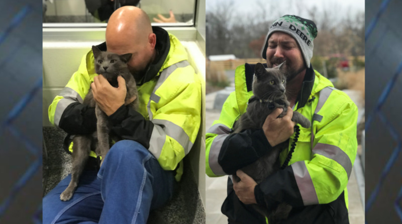 Локальные новости: Суровый дальнобойщик не смог сдержать слез, когда обнял своего кота, пропавшего 5 месяцев назад (фото)