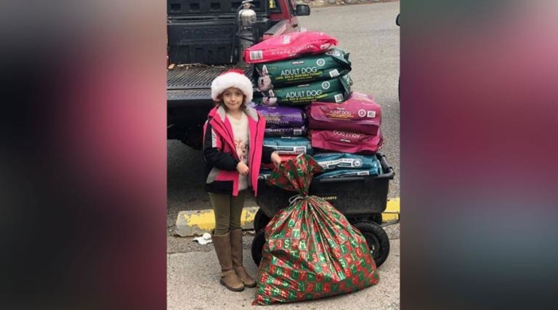 Локальные новости: 8-летняя девочка на Рождество отказалась от игрушек, чтобы купить корм для бездомных животных