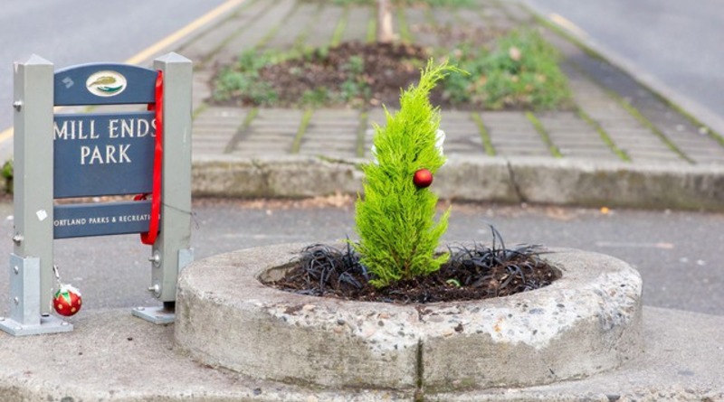 Локальные новости: В самом маленьком парке в мире посадили новое дерево после того, как украли единственное