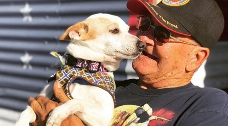 Полезное: Слепая бездомная собака вдохновила мужчину искать для ветеранов питомцев, которых могут усыпить в приютах