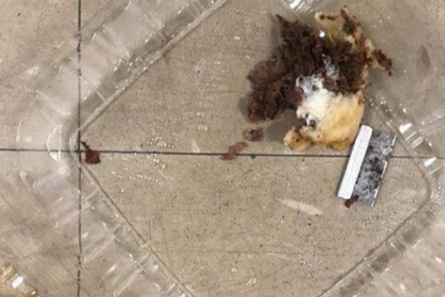 Локальные новости: Полицейский Нью-Йорка укусил сэндвич и порезался о ржавое лезвие, спрятанное внутри
