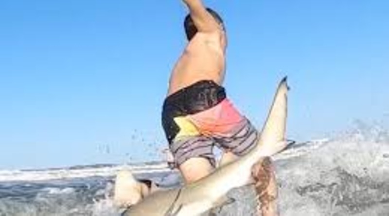Видео: На устрашающем видео акула сбивает 7-летнего ребенка с доски для серфинга на глазах у отца