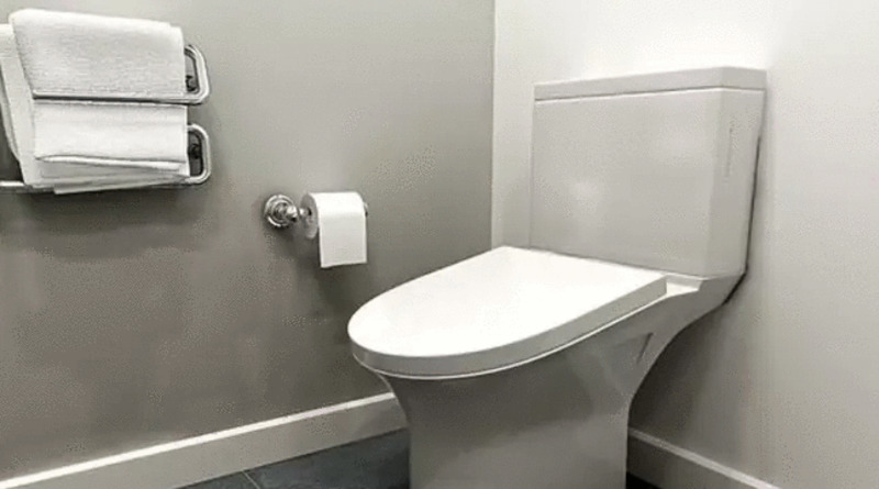 Полезное: Компания придумала неудобные унитазы для сотрудников, чтобы они меньше времени проводили в туалете во время работы