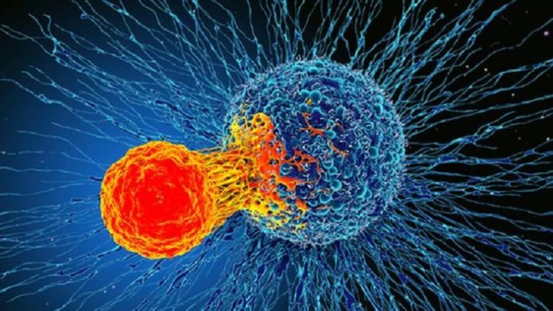 Здоровье: Лечение рака: ученые нашли потенциальный путь к созданию универсального лекарства
