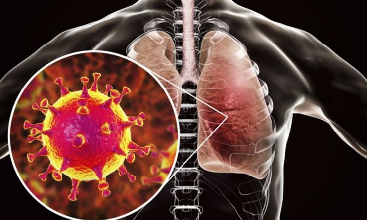 Здоровье: Первая смерть от пневмонии, вызванной коронавирусом (nCoV). Вирус вышел за пределы Китая