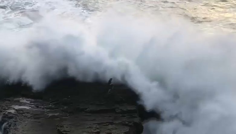 Локальные новости: На видео огромная волна сбросила человека со скалы в океан возле Санта-Круз