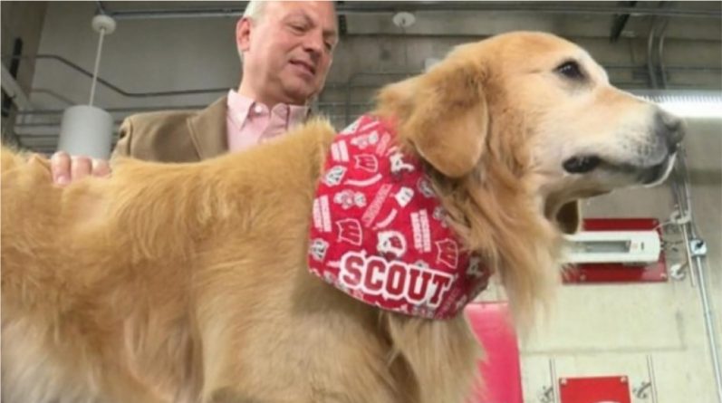 Здоровье: В благодарность за спасение жизни своего пса хозяин заплатил $6 млн.