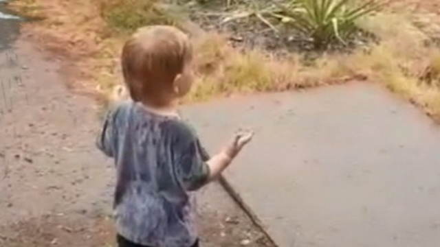 Локальные новости: Ролик с малышом, танцующим при виде дождя, стал вирусным