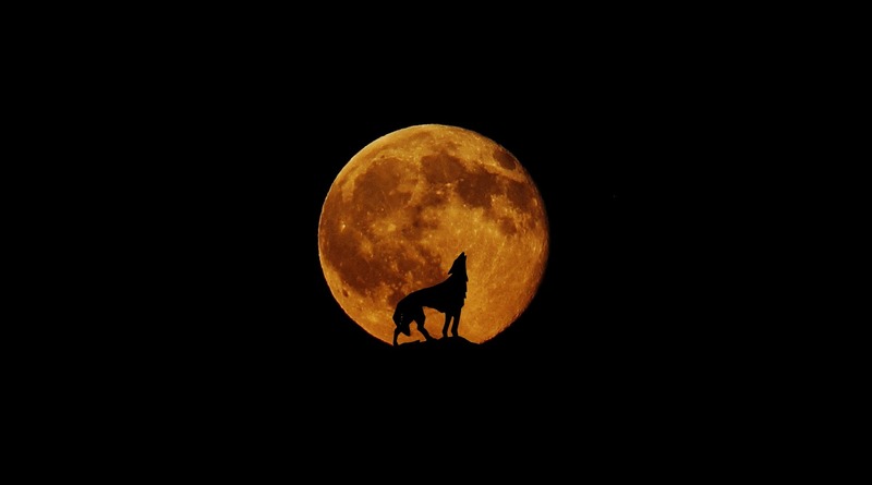 Полезное: Сегодня на небе взойдет «Волчья луна», и случится затмение: где посмотреть