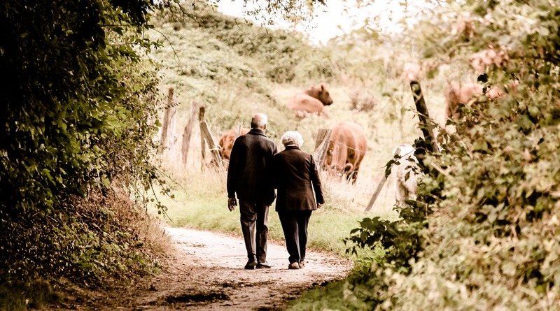 Локальные новости: «Как в сказках»: супруги, прожившие вместе 65 лет, умерли в один день (фото)