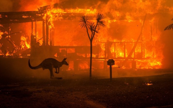 В мире: Смертельные пожары в Австралии: 23 погибших, пламя достигло размера Манхэттена