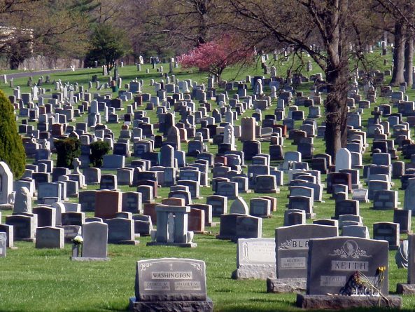 Происшествия: Тела трех убитых мужчин нашли на могиле на кладбище в Калифорнии