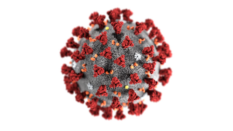 Здоровье: ВОЗ утвердила официальное название нового коронавируса