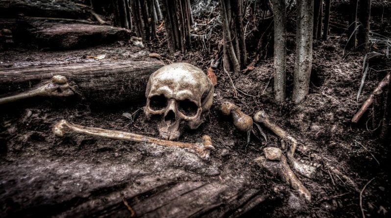 В мире: Десятки скелетов со связанными руками были обнаружены строителями в неглубокой могиле