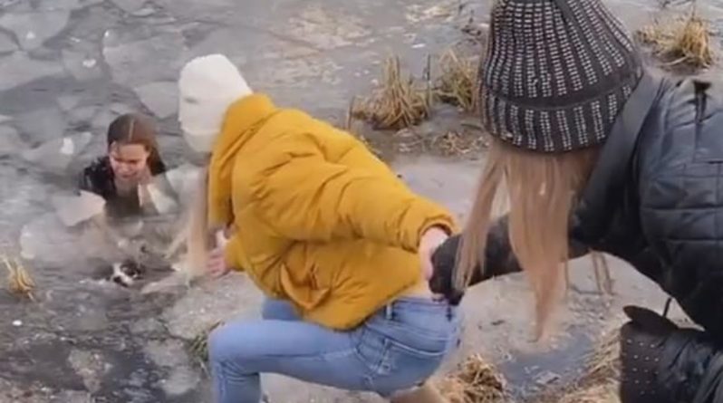 В мире: Россиянка вытащила тонущую собаку из ледяного пруда, бросившись в него в одной футболке