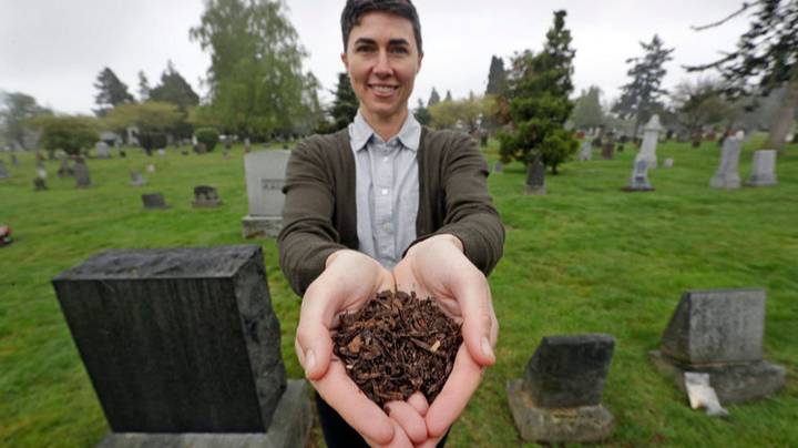Локальные новости: Компания из Сиэтла предлагает компостировать умерших вместо того, чтобы хоронить или кремировать