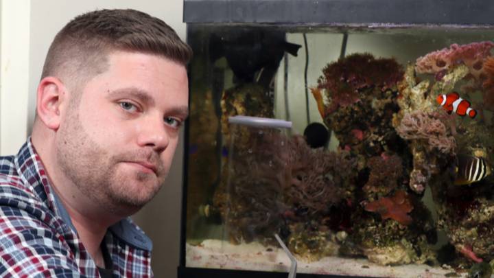 Полезное: Мужчина обнаружил одно из самых ядовитых морских существ у себя в аквариуме