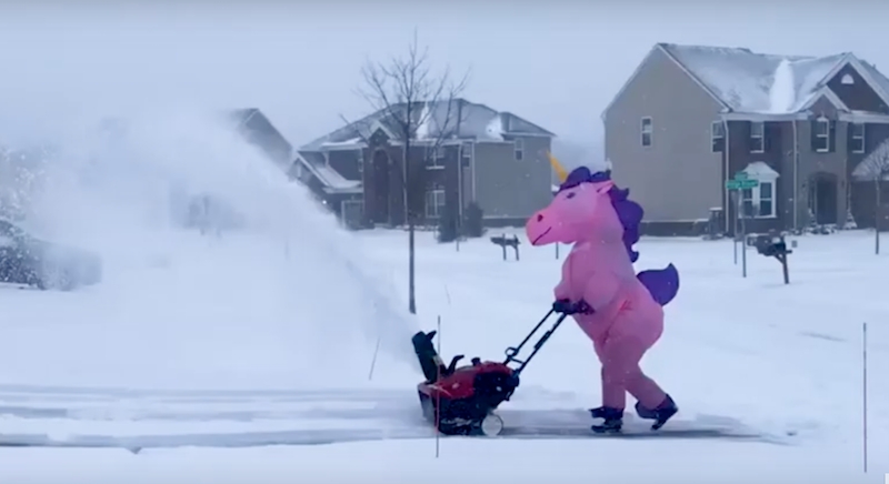 Локальные новости: Гигантский розовый единорог расчищал снег перед домом на видео, снятом соседкой