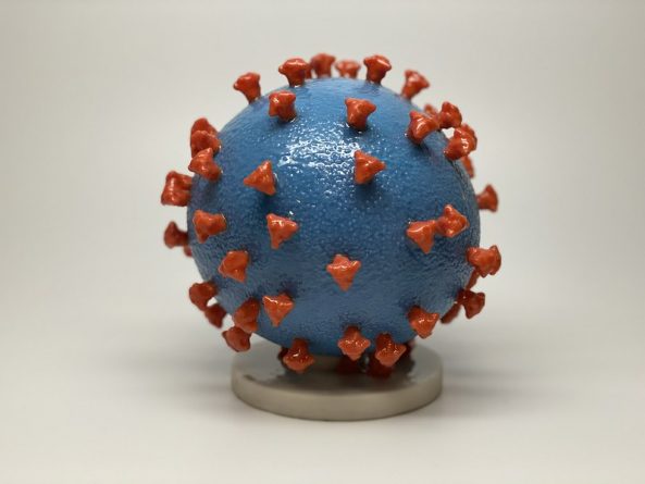 Здоровье: Пандемия коронавируса: информация о COVID-19 по состоянию на 24 марта