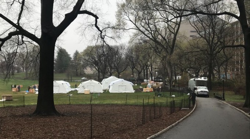 Локальные новости: В Центральном парке Нью-Йорка разворачивают полевой госпиталь для больных коронавирусом