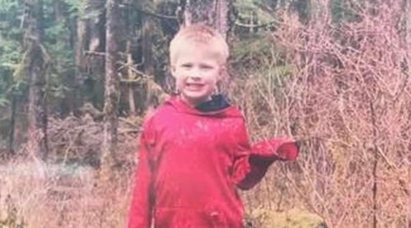 Происшествия: Мать оставила в лесу 5-летнего сына, когда они заблудились. Тело мальчика нашли спустя три дня