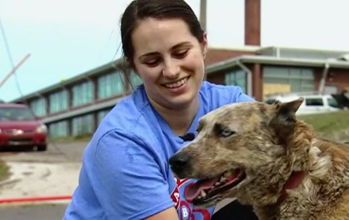 Локальные новости: Добрая незнакомка помогла хозяйке воссоединиться с псом, пропавшим во время торнадо