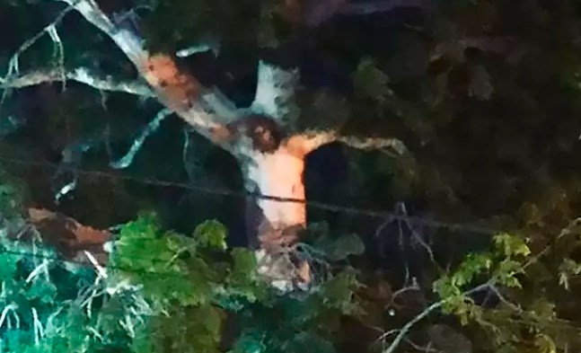 В мире: Жители Колумбии собираются у дерева с "изображением" Иисуса, несмотря на карантин