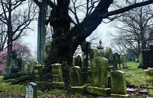 Локальные новости: В Нью-Йорке люди вместо самоизоляции продолжают гулять в парках и на кладбищах