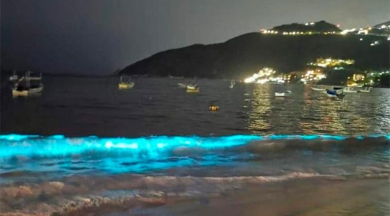 Путешествия: Впервые за 60 лет: волны на Тихоокеанском побережье засветились ярко-голубым светом (фото)