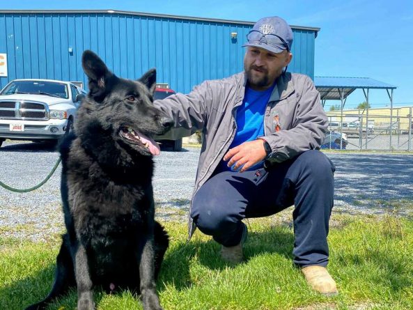 Локальные новости: Строитель из Виргинии спас собаку, когда ее хозяйка застряла в пробке по пути к ветеринару