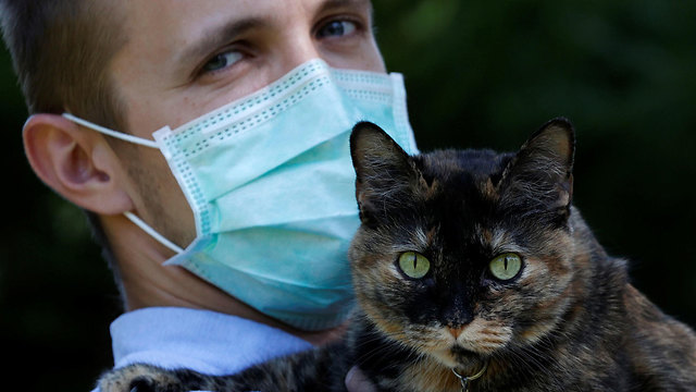 В мире: Во Франции кошка выздоровела от коронавируса, которым заразилась от владельцев