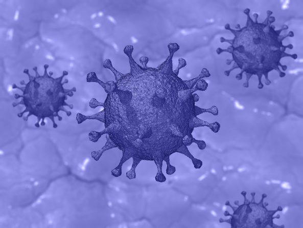 Здоровье: Обнаружены антитела, которые на 100% блокируют коронавирус и выводят его из организма за 4 дня