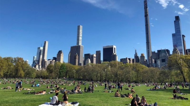Локальные новости: Нью-Йорк может ограничить вход в парки, чтобы предотвратить скопления людей