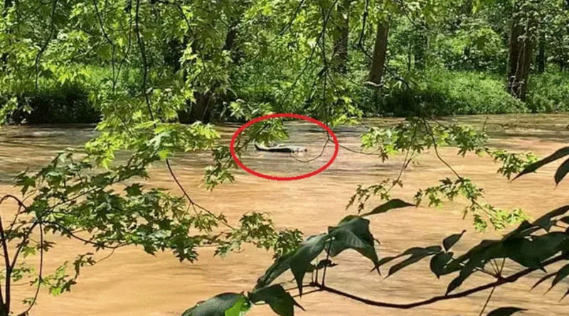 Локальные новости: «И бутылка рома»: в США из реки спасли мужчину, который напился до беспамятства рома на надувном плоту