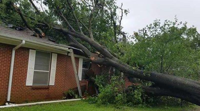 Погода: В Техасе – торнадо и водяной смерч: стихия вырвала с корнем деревья и разрушила здания