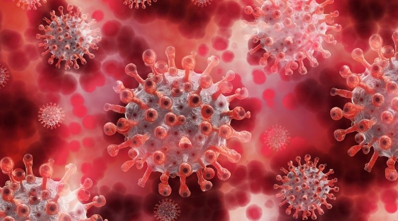 Здоровье: Уровень смертности от коронавируса в мире превысил 400000