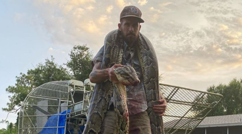 Локальные новости: Во Флориде поймали 5-метрового питона, который укусил ловца во время борьбы