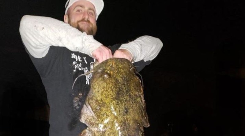 Локальные новости: В США рыбак выловил гигантского сома, который размером с человека (фото)