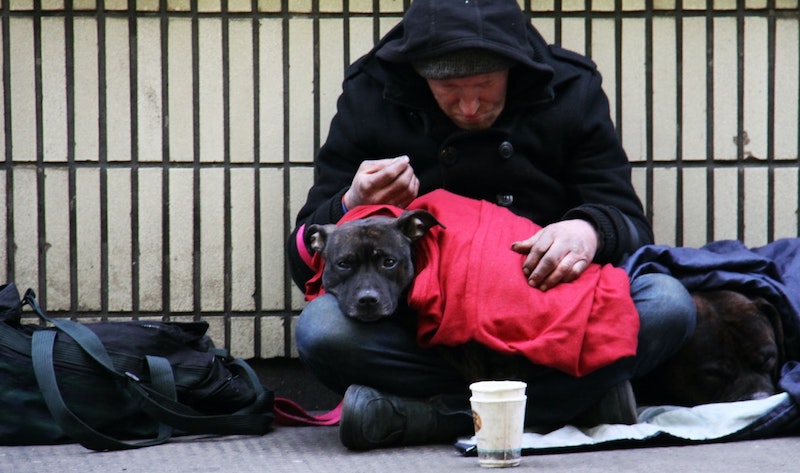 фотография бездомного с собакой, сидящего на земле