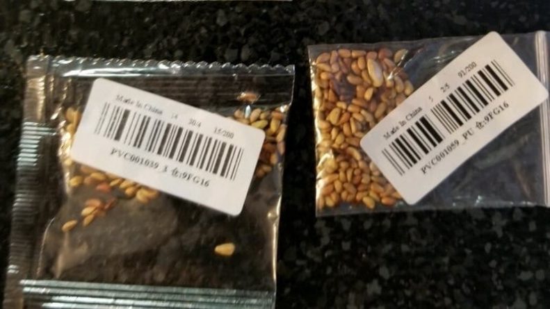 Локальные новости: Американцам присылают по почте загадочные семена. Возможно, они из Китая
