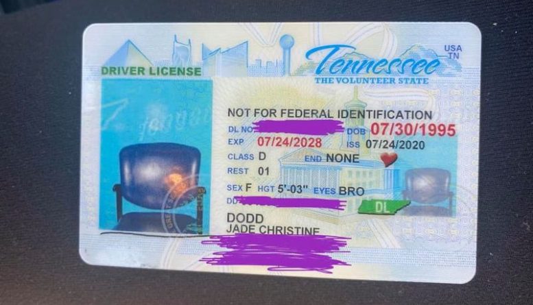 Локальные новости: Жительница Теннесси получила водительские права с фотографией стула вместо ее собственной